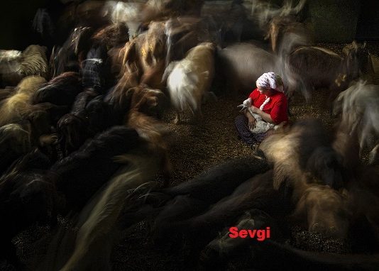 Kadın Gözüyle Hayattan Kareler Dijitale Taşındı