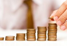 BES’te devlet katkısının GSMH içindeki payı yüzde 0,1