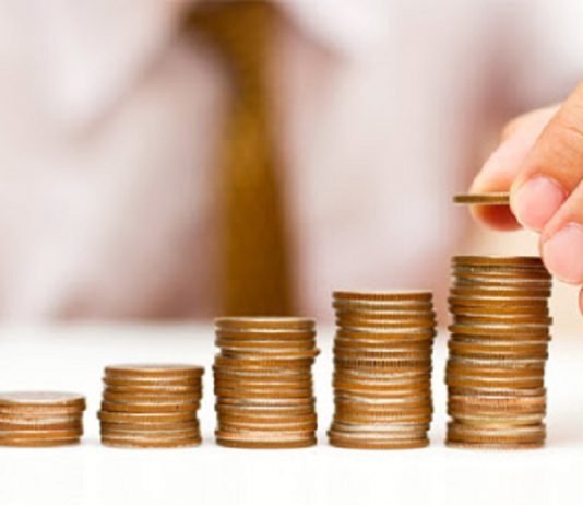 BES’te devlet katkısının GSMH içindeki payı yüzde 0,1