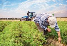 Sigorta yaptıran çiftçi sayısı 2 milyonu geçti