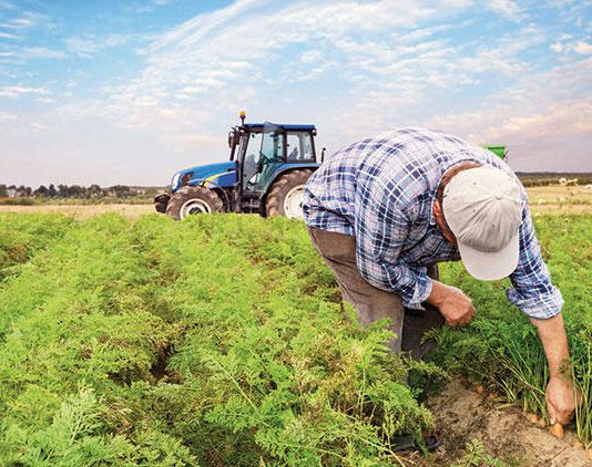 Sigorta yaptıran çiftçi sayısı 2 milyonu geçti