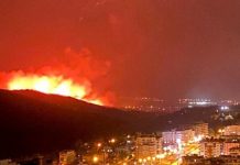 Sigortacılar Hatay’daki yangının yaralarını sarmak için elele verdi