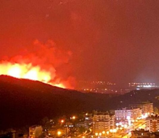Sigortacılar Hatay’daki yangının yaralarını sarmak için elele verdi