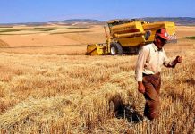 Kredi borcunun ertelenmesinde tarım sigortası şart