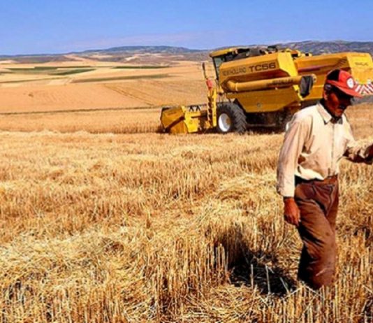 Kredi borcunun ertelenmesinde tarım sigortası şart