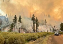 Kovid-19 mu, iklim değişikliği mi?