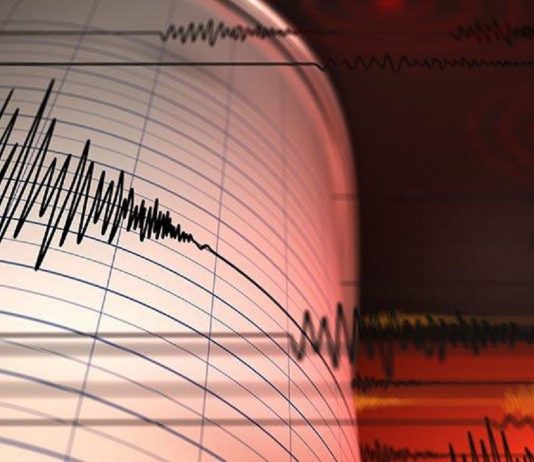 İzmir depremi sonrası ilk deprem araştırması