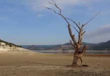 Kuraklık depremden daha tehlikeli