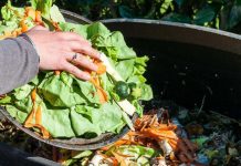 Türkiye’de gıda israfının boyutu ürkütücü