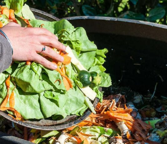 Türkiye’de gıda israfının boyutu ürkütücü