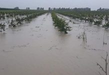 Afetlerde çiftçiye 7.4 milyar TL hasar ödendi