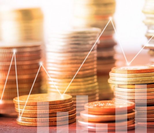 Portföy yönetim şirketlerine yeni düzenleme