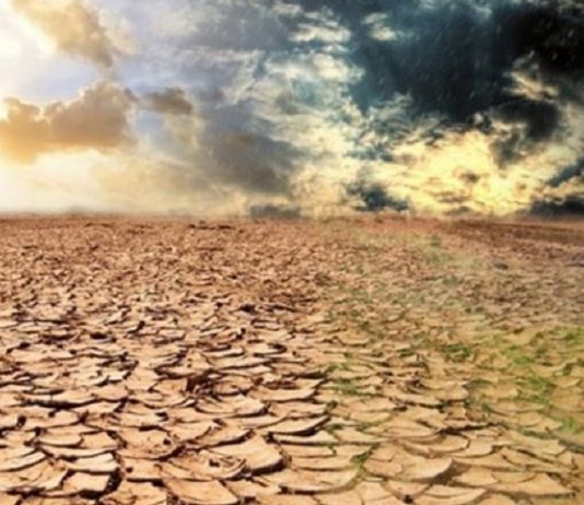 Çarpıcı iklim değişikliği anketi. Türkiye’de endişe artıyor