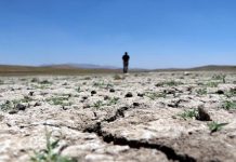 Tarım sigortası olmayan çiftçiye Afet Fonu’ndan kuraklık desteği