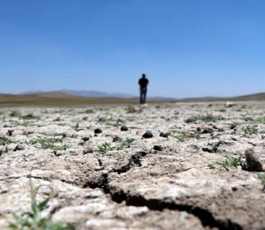 Tarım sigortası olmayan çiftçiye Afet Fonu’ndan kuraklık desteği