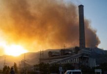 Termik santraller sigortalı mı?