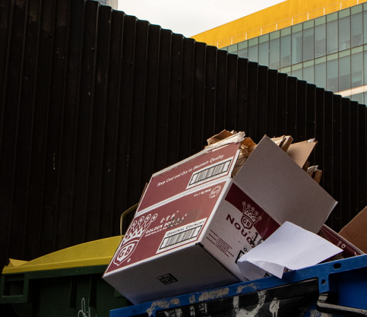 Çöp kutusuna ne attığınızı iki kere düşünün!