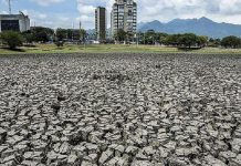 İklim Kanunu çıktı. Sigortacılara önemli görev yüklendi