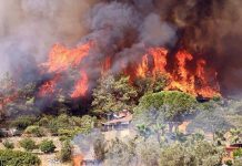 2 bin 49 bina ağır hasarlı. Sigortaya ne kadar ihbar geldi?