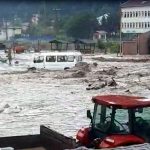 Selin sigortaya maliyeti 200 milyon lirayı bulacak