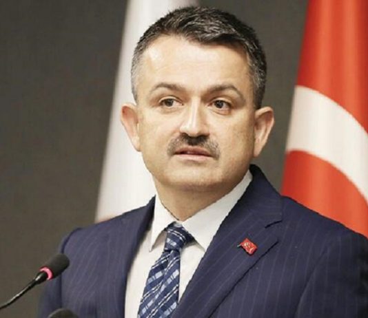 Pakdemirli: TARSİM 800 milyon lira hasar ödedi