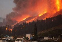 Ekonomik kayıp 100 milyon Euro