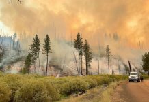 İklim değişikli anketi yapıldı sonuçlar çarpıcı