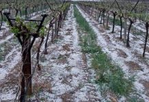 Kar hasarına 92 milyon TL ödeme