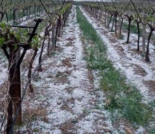 Kar hasarına 92 milyon TL ödeme