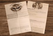 Bir sigortacılık hikayesi