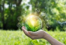 Şirketlere sıfır karbon yolculuğu için rehber