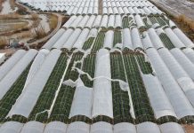 TARSİM’den seracılara uyarı: Sigorta bedellerini güncelleyin