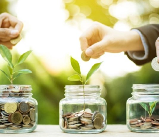 İklim odaklı fonlar 408 milyar dolara ulaştı