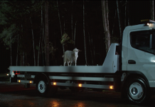 Sigortam.net 3 saniye içinde müşterilerinin yanında