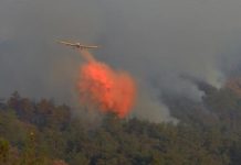 2021’de 150 milyon TL hasar ödendi