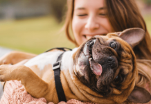 Hangi sigorta pazarı ciddi büyümeye hazırlanıyor?