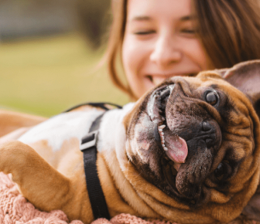 Hangi sigorta pazarı ciddi büyümeye hazırlanıyor?