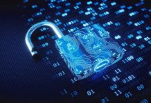 2,5 kat arttı, yarım milyonu geçti