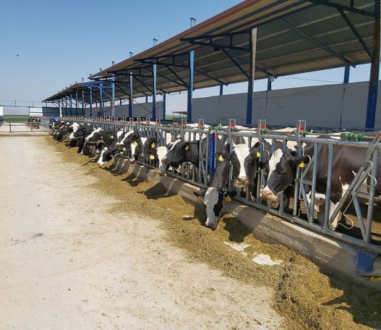 TARSİM sel hasarı için 823 bin TL ödedi