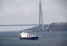 Tahıl koridoruna 50 milyon dolar sigorta teminatı