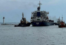 Tahıl koridorundan geçen gemileri kim sigortaladı?