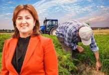 ‘Kayıtlı üreticilerin üçte biri sistemde’