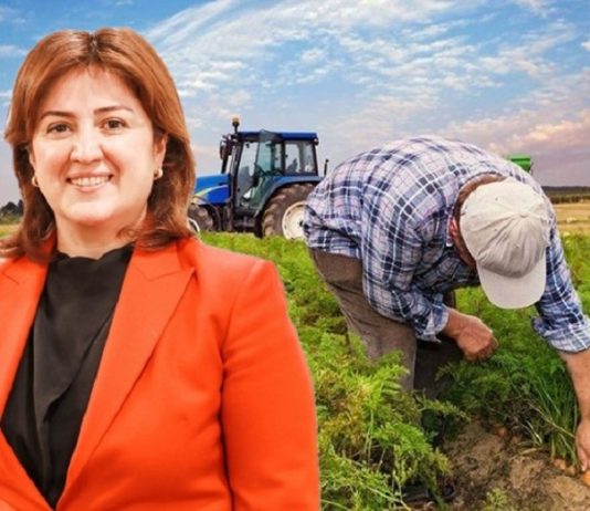 ‘Kayıtlı üreticilerin üçte biri sistemde’