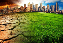 Bankaların iklim karnesi açıklandı