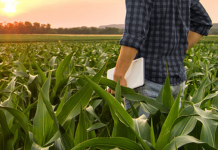 TARSİM 185 eksper alımı yapacak