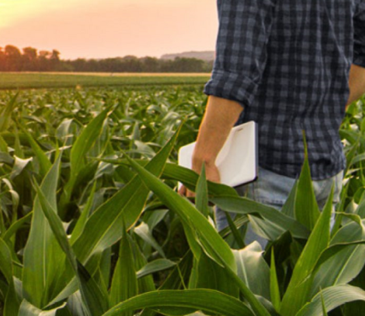 Tarım eksperliğine başvuru için Cuma son gün