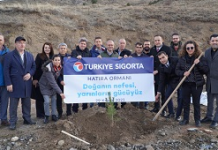Türkiye Sigorta Ormanı Sivas’ta yeşerecek