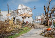 Çarpıcı makale. İklim riski sigorta sistemini nasıl etkiler?