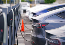 Sayıları hızlı artıyor. Sigortacılar ise tereddütte