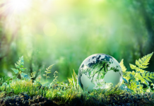 Sürdürülebilirlik halen yöneticilerin gündeminde mi?